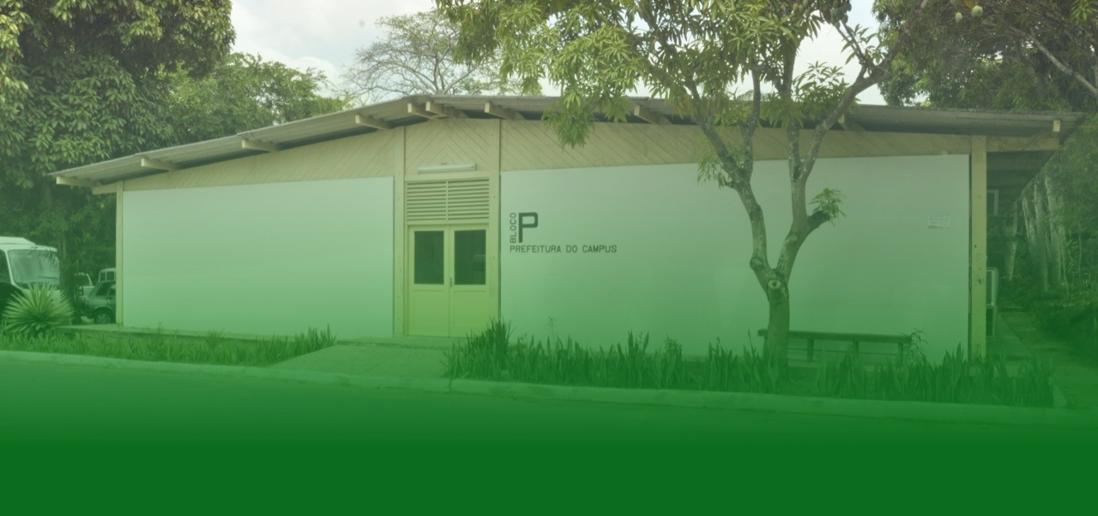 Conheça o nosso trabalho de perto!