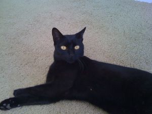 Galeria de imagens 01 &raquo; Galeria de imagens 02